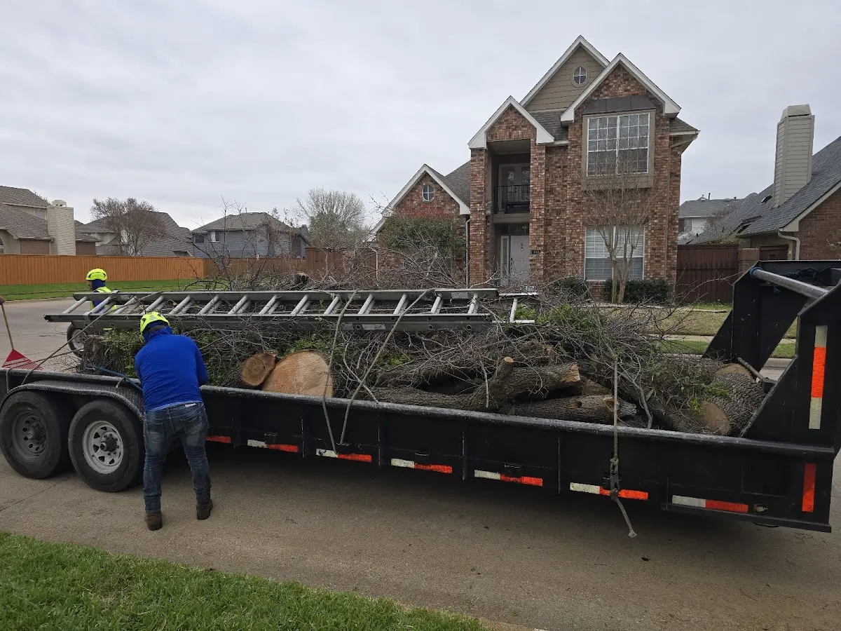 Expert Tree Fertilization with proper safety equipment in Coffee Springs